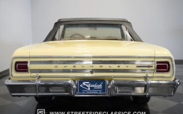 Unknown-Malibu-1965-Crocus-Yellow-White-40