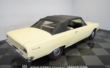 Unknown-Malibu-1965-Crocus-Yellow-White-43