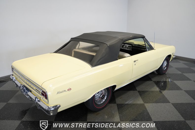 Unknown-Malibu-1965-Crocus-Yellow-White-43