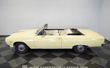 Unknown-Malibu-1965-Crocus-Yellow-White-46