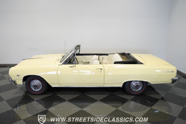 Unknown-Malibu-1965-Crocus-Yellow-White-46