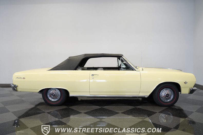 Unknown-Malibu-1965-Crocus-Yellow-White-47