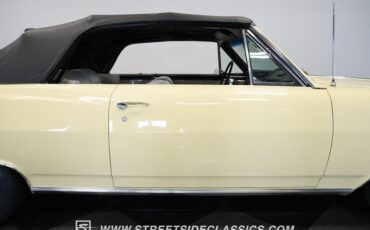Unknown-Malibu-1965-Crocus-Yellow-White-7