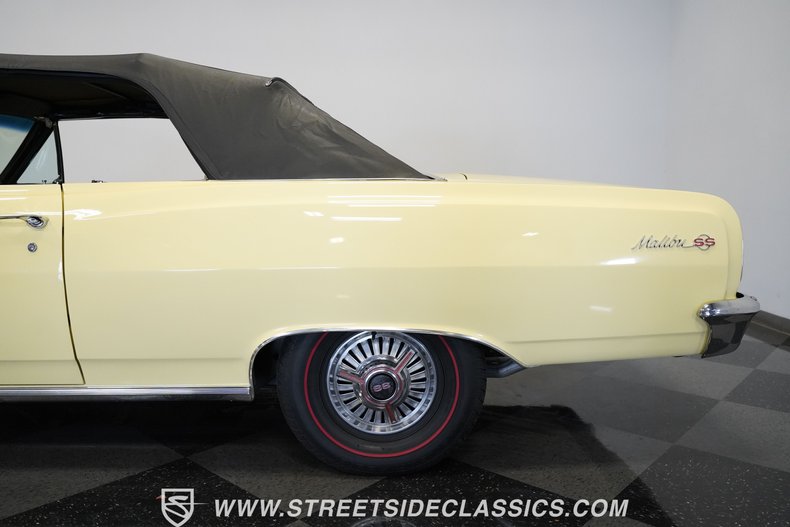 Unknown-Malibu-1965-Crocus-Yellow-White-8