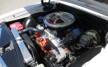Unknown-Malibu-1965-Ermine-White-Red-11