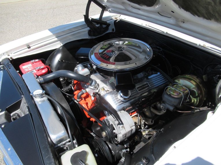 Unknown-Malibu-1965-Ermine-White-Red-11