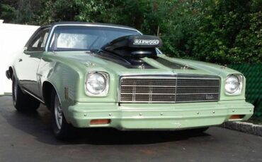 Unknown-Malibu-1974-Green-14
