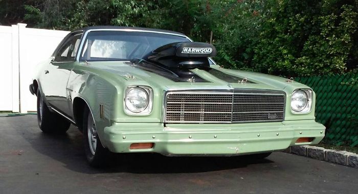 Unknown-Malibu-1974-Green-14