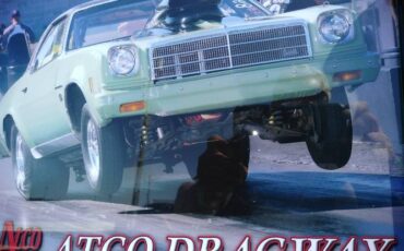 Unknown-Malibu-1974-Green-4
