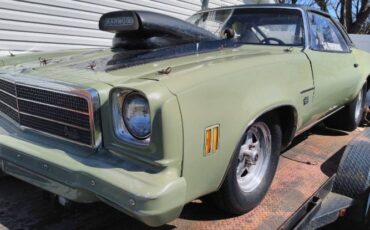 Unknown-Malibu-1974-Green-5