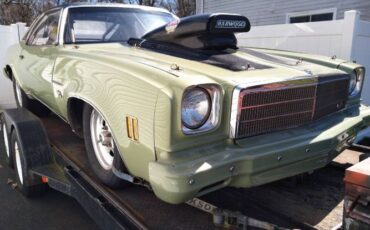 Unknown-Malibu-1974-Green-9