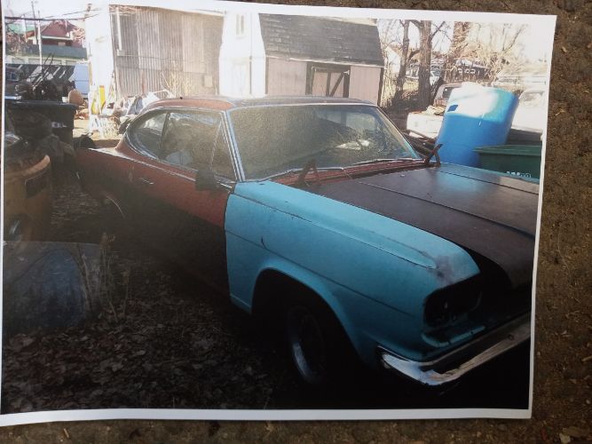 Unknown-Marlin-1965-6