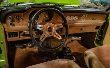 Unknown-Maverick-1974-Green-Tan-2