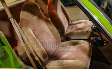 Unknown-Maverick-1974-Green-Tan-3