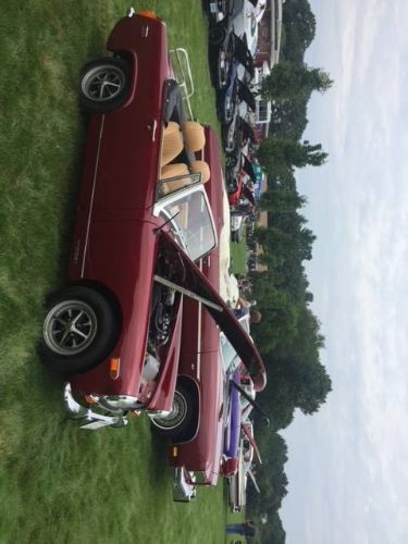 Unknown-Midget-1971-Custom-10