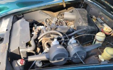 Unknown-Midget-1972-Green-Black-3