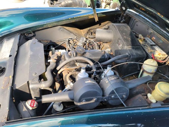 Unknown-Midget-1972-Green-Black-3