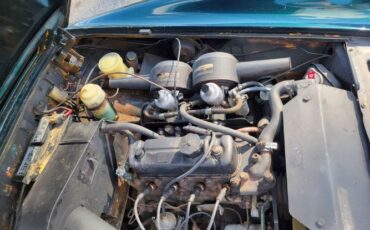 Unknown-Midget-1972-Green-Black-4