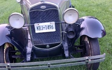 Unknown-Model-a-1931-BlackTan-BlackTan-3