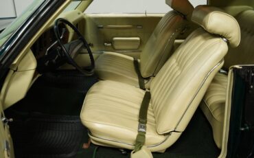 Unknown-Monte-carlo-1971-Green-Metallic-Ivory-3