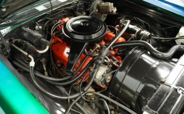 Unknown-Monte-carlo-1971-Green-Metallic-Ivory-31