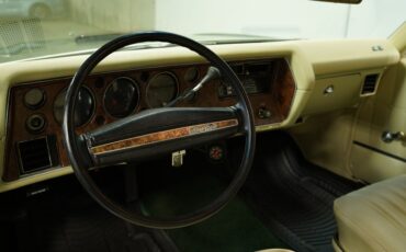 Unknown-Monte-carlo-1971-Green-Metallic-Ivory-33