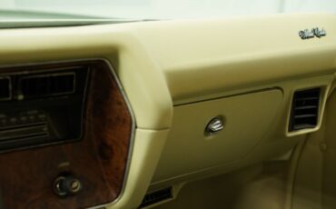 Unknown-Monte-carlo-1971-Green-Metallic-Ivory-36