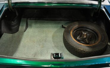 Unknown-Monte-carlo-1971-Green-Metallic-Ivory-47