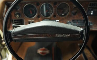 Unknown-Monte-carlo-1972-Covert-Tan-Saddle-36