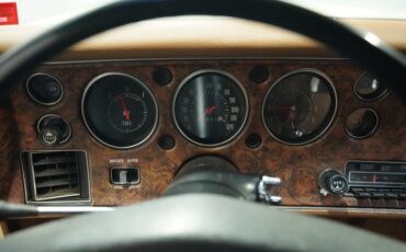 Unknown-Monte-carlo-1972-Covert-Tan-Saddle-37