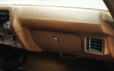 Unknown-Monte-carlo-1972-Covert-Tan-Saddle-4