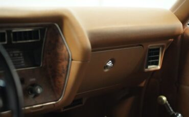 Unknown-Monte-carlo-1972-Covert-Tan-Saddle-41