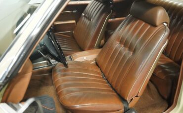 Unknown-Monte-carlo-1972-Covert-Tan-Saddle-42