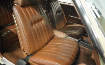 Unknown-Monte-carlo-1972-Covert-Tan-Saddle-45
