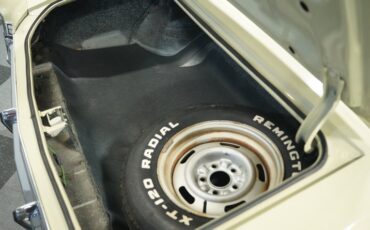 Unknown-Monte-carlo-1972-Covert-Tan-Saddle-7