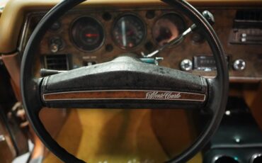 Unknown-Monte-carlo-1972-Mohave-Gold-Dark-Saddle-40