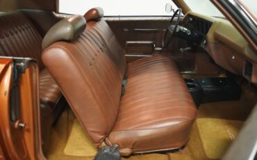 Unknown-Monte-carlo-1972-Mohave-Gold-Dark-Saddle-5