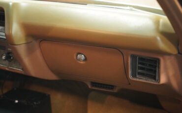 Unknown-Monte-carlo-1972-Mohave-Gold-Dark-Saddle-9