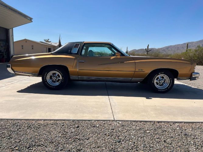 Unknown-Monte-carlo-1973-Brown-1