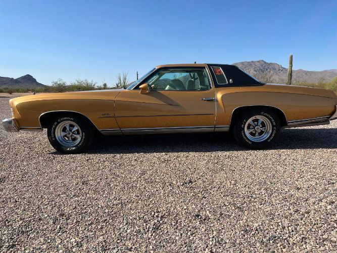 Unknown-Monte-carlo-1973-Brown-2