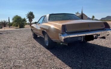 Unknown-Monte-carlo-1973-Brown-6