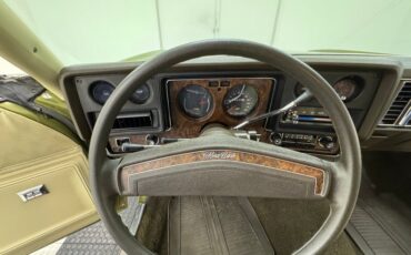 Unknown-Monte-carlo-1973-Dark-Green-Gold-Meta-Light-Neutral-12