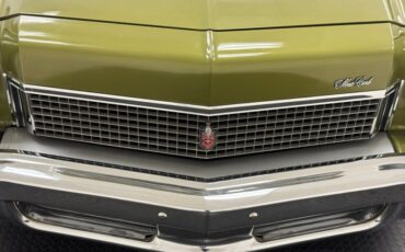 Unknown-Monte-carlo-1973-Dark-Green-Gold-Meta-Light-Neutral-14