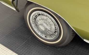 Unknown-Monte-carlo-1973-Dark-Green-Gold-Meta-Light-Neutral-16