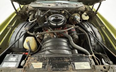 Unknown-Monte-carlo-1973-Dark-Green-Gold-Meta-Light-Neutral-29
