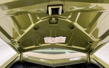 Unknown-Monte-carlo-1973-Dark-Green-Gold-Meta-Light-Neutral-31