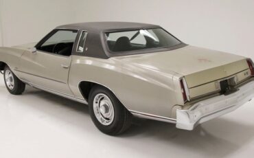 Unknown-Monte-carlo-1974-Silver-Taupe-Metalli-Black-12