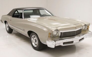 Unknown-Monte-carlo-1974-Silver-Taupe-Metalli-Black-15
