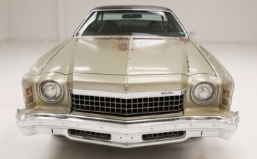 Unknown-Monte-carlo-1974-Silver-Taupe-Metalli-Black-16