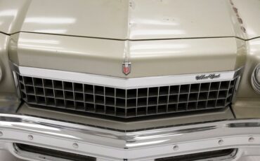 Unknown-Monte-carlo-1974-Silver-Taupe-Metalli-Black-21